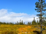 Korskälla, vandring
