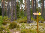 Kättbo, vandring/löpning 2,3 eller 5 km