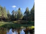 Mångbro skvaltkvarn