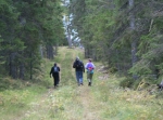 Mora-Eldris-N Garberg-Hemulsjö-Mora 43 km