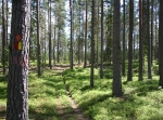 Grönsbergsrundan, 10,8 alternativt 13,1 km