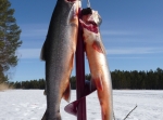 Ätjärn Våmhus
