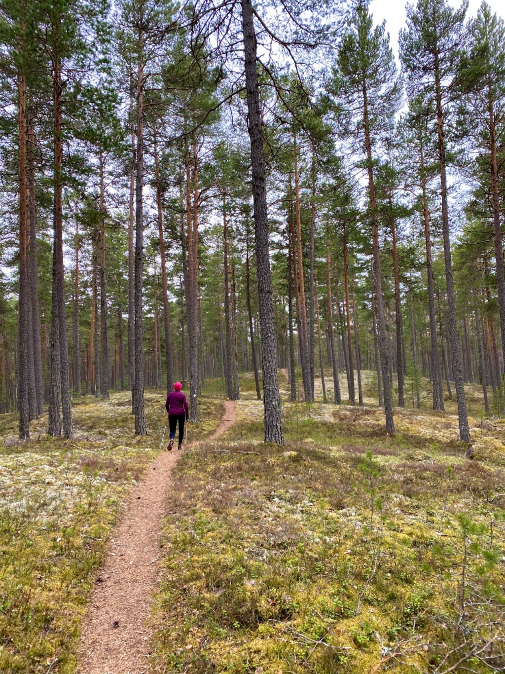 Mora Trail testlopp 4.75 km Löpning Mora Outdoor