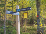 Klövjestig vid Myckelbergs fäbodar i Mora