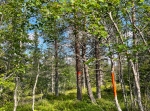 Näcksjövarden, utsiktstornet och slogboden med grillplats