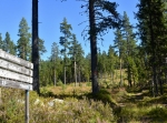 Siljansleden, Nybron till Fryksås 13,7 km