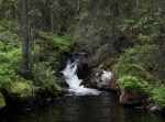 Rädåns naturreservat