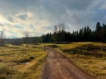 Husklitten vid Stora Vasselnäs