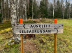 Husklitten vid Stora Vasselnäs