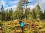 Husklitten vid Stora Vasselnäs