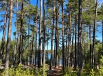 Sästjärn runt 9 km