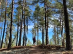 Sästjärn runt 9 km