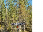 Dalenrundan