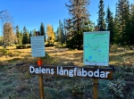 Dalenrundan