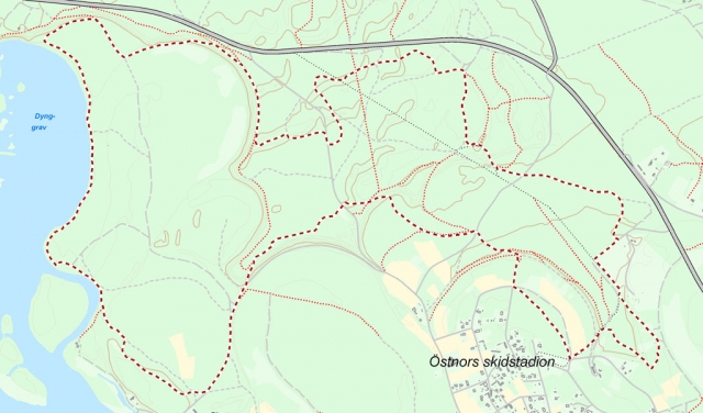 Östnor, VIK-loppet 13 km