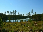 Venjanssjön runt, ca 50 km