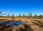Oradtjärnrundan