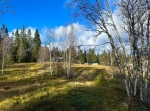 Oradtjärnrundan