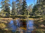 Oradtjärnrundan