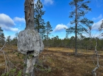 Oradtjärnrundan