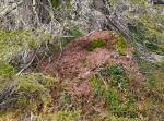 Oradtjärnrundan