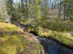 Oradtjärnrundan