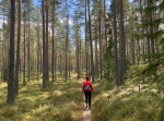 Våmhusmilen och 6 km.