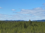 Våmhusmilen och 6 km.