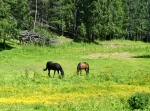 Porfyrleden, del av i Älvdalen/Blyberg