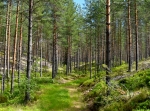 Porfyrleden, del av i Älvdalen/Blyberg