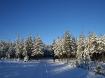 Mora skidstadion, Hemus