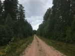 Fåsåsrundan långa, MTB ca 50 km