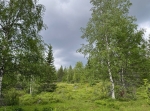 Åsklikten i Venjan