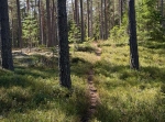 Ödesbölet Lilla Hökberg