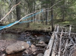 Fäbodstigen S Selbäck till S Garberg, 11,6 km