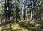 Ödesbölet Lilla Hökberg